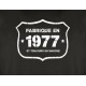 Tee shirt - Fab 1977 - Coton bio - Homme